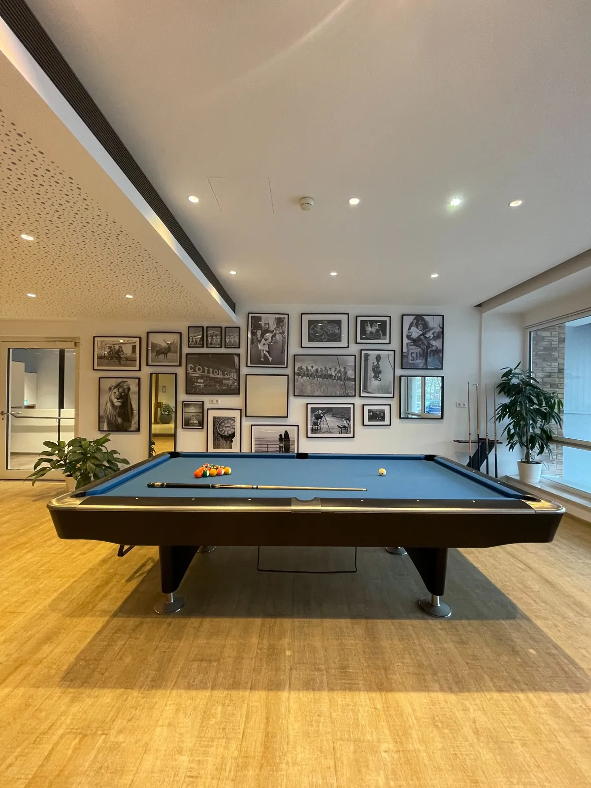 Billard, Kicker und Darts